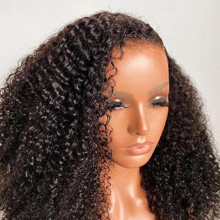 Natural Curly Wig - Invisible HD Front Lace - Wigs By Sya